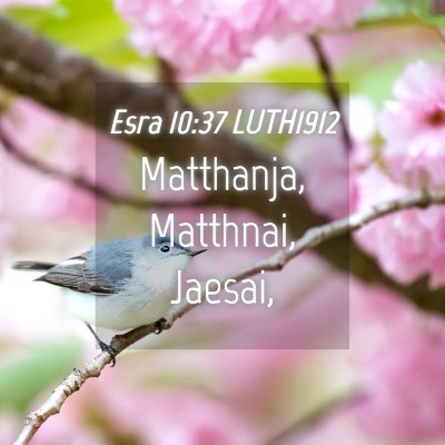 Picture 04 - Esra 10:37 LUTH1912 - Matthanja, Matthnai, - Bible Verse Picture