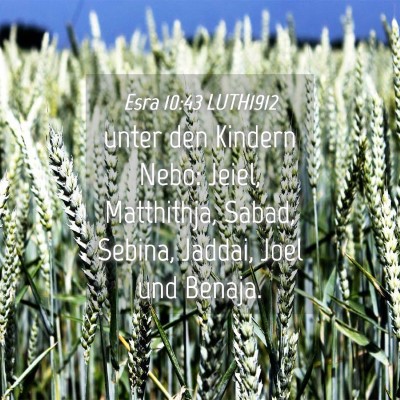 Picture 04 - Esra 10:43 LUTH1912 - unter den Kindern Nebo: Jeiel, Matthithja, Sabad, - Bible Verse Picture