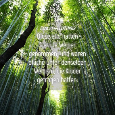 Picture 04 - Esra 10:44 LUTH1912 - Diese alle hatten fremde Weiber genommen; und - Bible Verse Picture