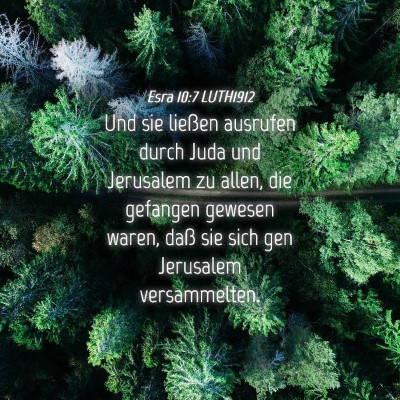 Picture 04 - Esra 10:7 LUTH1912 - Und sie ließen ausrufen durch Juda und Jerusalem - Bible Verse Picture