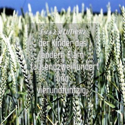 Picture 04 - Esra 2:31 LUTH1912 - der Kinder des andern Elam tausendzweihundert und - Bible Verse Picture