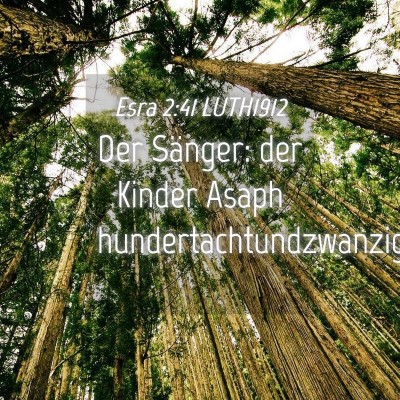 Picture 04 - Esra 2:41 LUTH1912 - Der Sänger: der Kinder Asaph - Bible Verse Picture