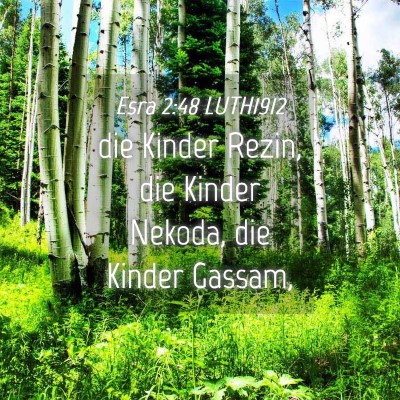 Picture 04 - Esra 2:48 LUTH1912 - die Kinder Rezin, die Kinder Nekoda, die Kinder - Bible Verse Picture