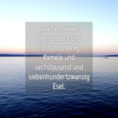 Picture 04 - Esra 2:67 LUTH1912 - vierhundert und fünfunddreißig Kamele und - Bible Verse Picture