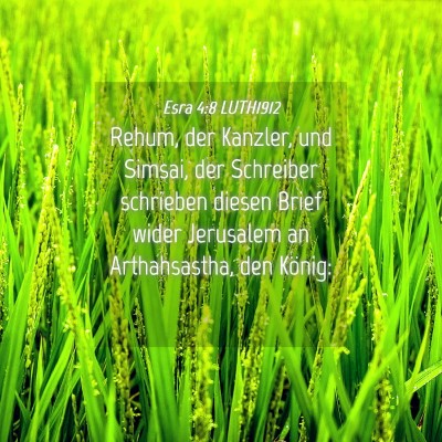 Picture 04 - Esra 4:8 LUTH1912 - Rehum, der Kanzler, und Simsai, der Schreiber - Bible Verse Picture
