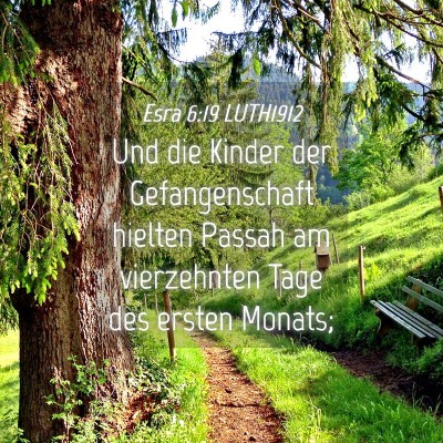 Picture 04 - Esra 6:19 LUTH1912 - Und die Kinder der Gefangenschaft hielten Passah - Bible Verse Picture