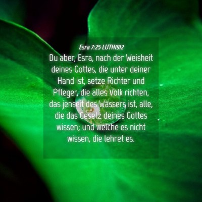 Picture 04 - Esra 7:25 LUTH1912 - Du aber, Esra, nach der Weisheit deines Gottes, - Bible Verse Picture