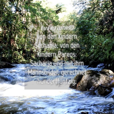 Picture 04 - Esra 8:3 LUTH1912 - von den Kindern Sechanja; von den Kindern Pareos: - Bible Verse Picture