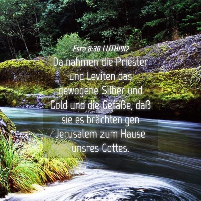 Picture 04 - Esra 8:30 LUTH1912 - Da nahmen die Priester und Leviten das gewogene - Bible Verse Picture