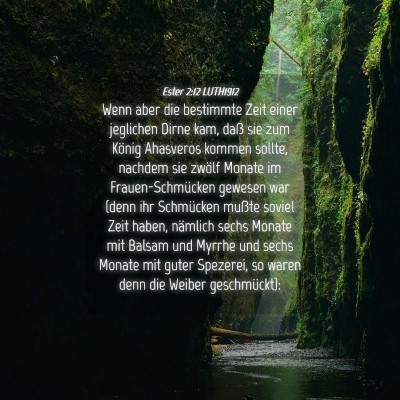 Picture 04 - Ester 2:12 LUTH1912 - Wenn aber die bestimmte Zeit einer jeglichen - Bible Verse Picture