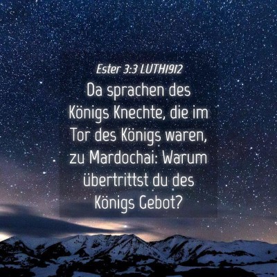 Picture 04 - Ester 3:3 LUTH1912 - Da sprachen des Königs Knechte, die im Tor des - Bible Verse Picture