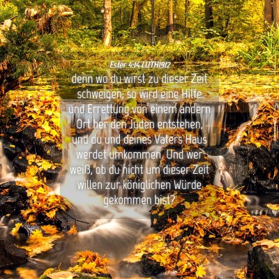 Picture 04 - Ester 4:14 LUTH1912 - denn wo du wirst zu dieser Zeit schweigen, so - Bible Verse Picture