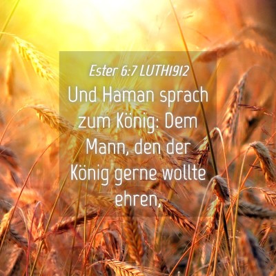 Picture 04 - Ester 6:7 LUTH1912 - Und Haman sprach zum König: Dem Mann, den der - Bible Verse Picture
