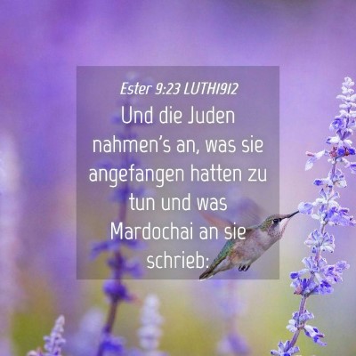 Picture 04 - Ester 9:23 LUTH1912 - Und die Juden nahmen's an, was sie angefangen - Bible Verse Picture