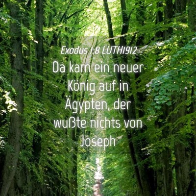 Picture 04 - Exodus 1:8 LUTH1912 - Da kam ein neuer König auf in Ägypten, der - Bible Verse Picture