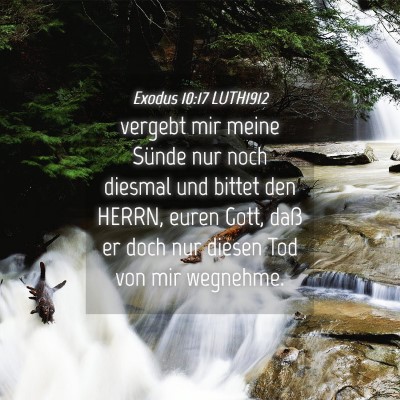 Picture 04 - Exodus 10:17 LUTH1912 - vergebt mir meine Sünde nur noch diesmal und - Bible Verse Picture