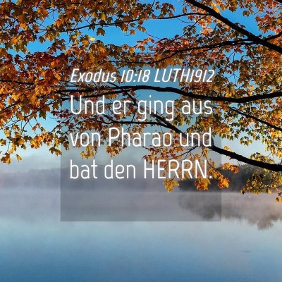 Picture 04 - Exodus 10:18 LUTH1912 - Und er ging aus von Pharao und bat den - Bible Verse Picture
