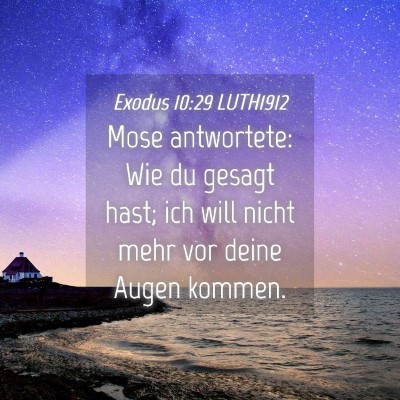 Picture 04 - Exodus 10:29 LUTH1912 - Mose antwortete: Wie du gesagt hast; ich will - Bible Verse Picture