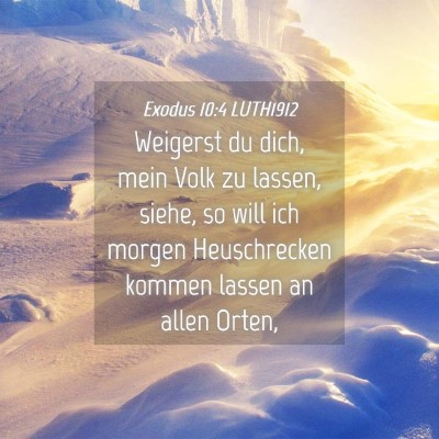 Picture 04 - Exodus 10:4 LUTH1912 - Weigerst du dich, mein Volk zu lassen, siehe, so - Bible Verse Picture