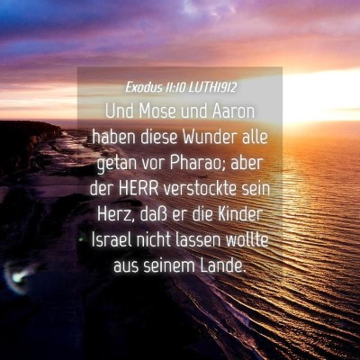 Picture 04 - Exodus 11:10 LUTH1912 - Und Mose und Aaron haben diese Wunder alle getan - Bible Verse Picture