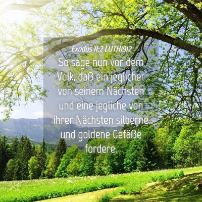 Picture 04 - Exodus 11:2 LUTH1912 - So sage nun vor dem Volk, daß ein jeglicher von - Bible Verse Picture
