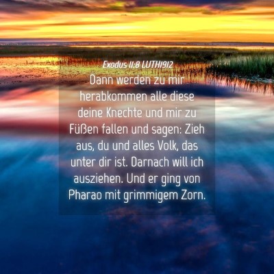 Picture 04 - Exodus 11:8 LUTH1912 - Dann werden zu mir herabkommen alle diese deine - Bible Verse Picture