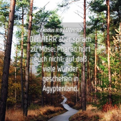 Picture 04 - Exodus 11:9 LUTH1912 - Der HERR aber sprach zu Mose: Pharao hört euch - Bible Verse Picture