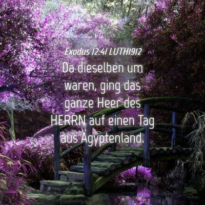 Picture 04 - Exodus 12:41 LUTH1912 - Da dieselben um waren, ging das ganze Heer des - Bible Verse Picture