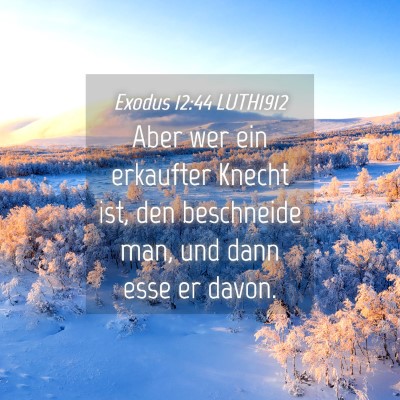 Picture 04 - Exodus 12:44 LUTH1912 - Aber wer ein erkaufter Knecht ist, den beschneide - Bible Verse Picture
