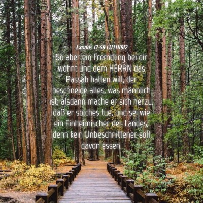 Picture 04 - Exodus 12:48 LUTH1912 - So aber ein Fremdling bei dir wohnt und dem HERRN - Bible Verse Picture
