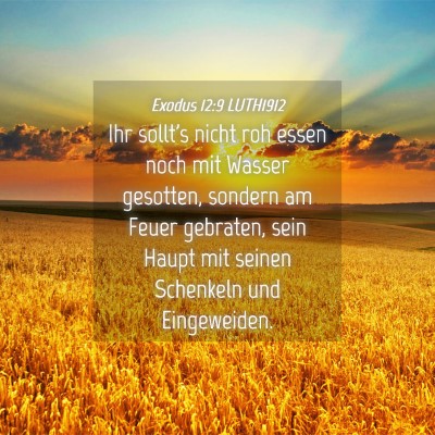 Picture 04 - Exodus 12:9 LUTH1912 - Ihr sollt's nicht roh essen noch mit Wasser - Bible Verse Picture
