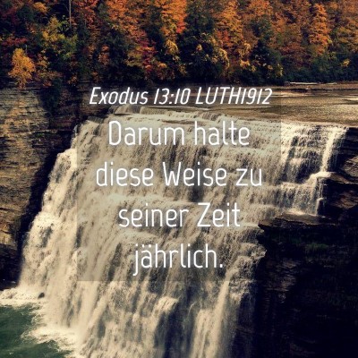 Picture 04 - Exodus 13:10 LUTH1912 - Darum halte diese Weise zu seiner Zeit - Bible Verse Picture