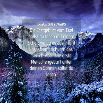 Picture 04 - Exodus 13:13 LUTH1912 - Die Erstgeburt vom Esel sollst du lösen mit - Bible Verse Picture