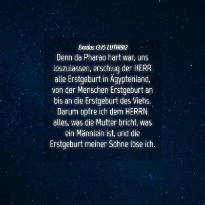 Picture 04 - Exodus 13:15 LUTH1912 - Denn da Pharao hart war, uns loszulassen, - Bible Verse Picture