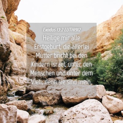 Picture 04 - Exodus 13:2 LUTH1912 - Heilige mir alle Erstgeburt, die allerlei Mutter - Bible Verse Picture