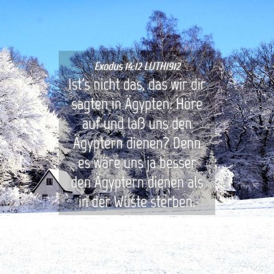 Picture 04 - Exodus 14:12 LUTH1912 - Ist's nicht das, das wir dir sagten in Ägypten: - Bible Verse Picture