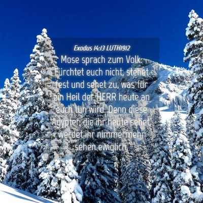 Picture 04 - Exodus 14:13 LUTH1912 - Mose sprach zum Volk: Fürchtet euch nicht, - Bible Verse Picture