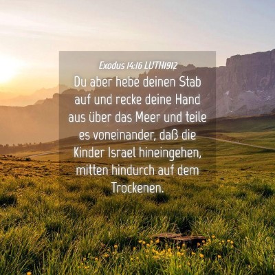 Picture 04 - Exodus 14:16 LUTH1912 - Du aber hebe deinen Stab auf und recke deine Hand - Bible Verse Picture