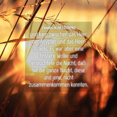 Picture 04 - Exodus 14:20 LUTH1912 - und kam zwischen das Heer der Ägypter und das - Bible Verse Picture