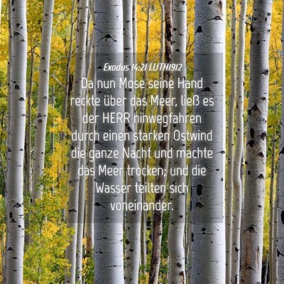 Picture 04 - Exodus 14:21 LUTH1912 - Da nun Mose seine Hand reckte über das Meer, - Bible Verse Picture