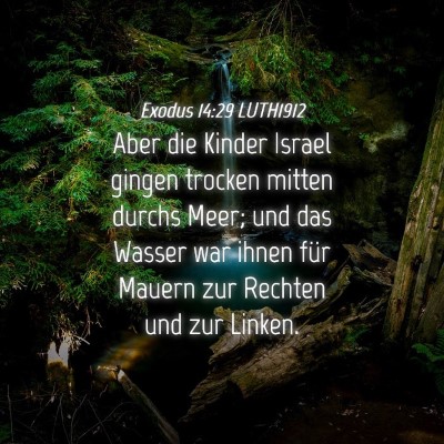 Picture 04 - Exodus 14:29 LUTH1912 - Aber die Kinder Israel gingen trocken mitten - Bible Verse Picture
