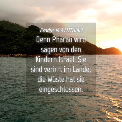 Picture 04 - Exodus 14:3 LUTH1912 - Denn Pharao wird sagen von den Kindern Israel: - Bible Verse Picture