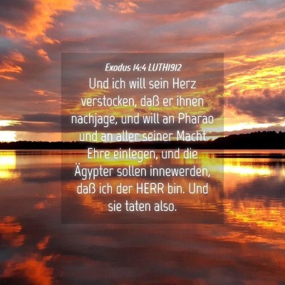 Picture 04 - Exodus 14:4 LUTH1912 - Und ich will sein Herz verstocken, daß er ihnen - Bible Verse Picture