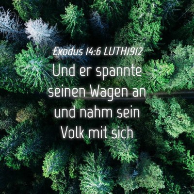 Picture 04 - Exodus 14:6 LUTH1912 - Und er spannte seinen Wagen an und nahm sein Volk - Bible Verse Picture