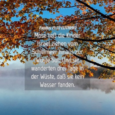 Picture 04 - Exodus 15:22 LUTH1912 - Mose ließ die Kinder Israel ziehen vom - Bible Verse Picture