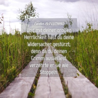 Picture 04 - Exodus 15:7 LUTH1912 - Und mit deiner großen Herrlichkeit hast du deine - Bible Verse Picture