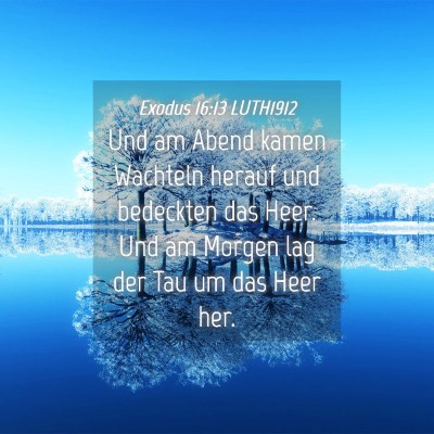 Picture 04 - Exodus 16:13 LUTH1912 - Und am Abend kamen Wachteln herauf und bedeckten - Bible Verse Picture