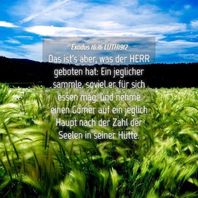 Picture 04 - Exodus 16:16 LUTH1912 - Das ist's aber, was der HERR geboten hat: Ein - Bible Verse Picture