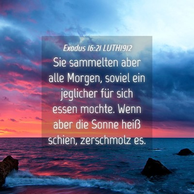 Picture 04 - Exodus 16:21 LUTH1912 - Sie sammelten aber alle Morgen, soviel ein - Bible Verse Picture