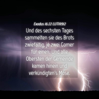 Picture 04 - Exodus 16:22 LUTH1912 - Und des sechsten Tages sammelten sie des Brots - Bible Verse Picture